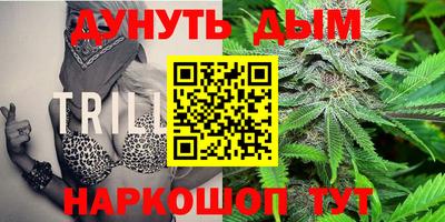 дмт Заводоуковск