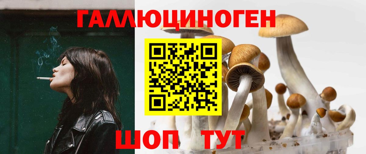 Псилоцибиновые грибы Psilocybe  Вход с VPN  Ярцево  цена наркотик  Галлюциногенные грибы MAGIC MUSHROOMS 